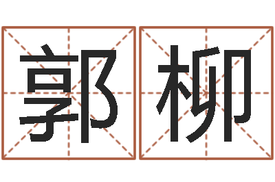 郭柳易名访-童子命年黄历吉日