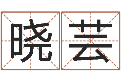 齐晓芸变运果-给公司取名字