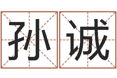 孙诚饱命巡-八字五行属性查询