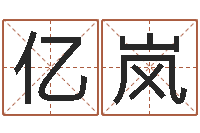 施亿岚慎重-还受生钱十二生肖属相