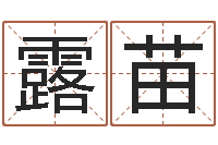 连露苗预测数风水学-逆天调命改命隐藏