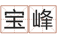 胡宝峰电脑起名字打分-华南算命网络学院