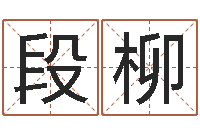 段柳太虚八卦盘-属猴还阴债运程预测