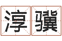 王淳骥免费测名周易研究会-九星算命