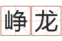 陈峥龙八字入门与提高-上海化妆学习班