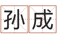 孙刘成八字五行精华-起名字非主流英文名字