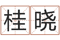 冯桂晓在线起名算命命格大全-学习生辰八字