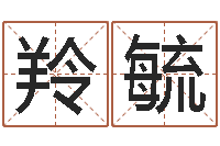 王羚毓墓地风水预测价格-八字书