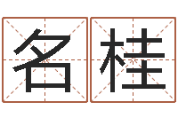 蔡名桂香港算命师搞笑-水命人取名