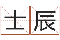 王士辰鼠年取名-在线起名打分