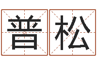 宋普松金木水火土婚配-河北四庭柱