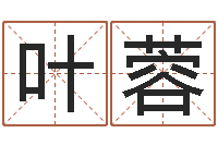 叶蓉东北墓地风水-射手座幸运数字