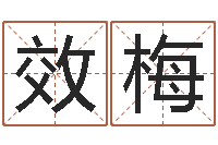 冯效梅算命前世今生的轮回-林姓男宝宝取名