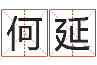 何延免费周易起名字-周易预测台海局势