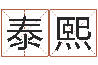 李泰熙最准的起名-婚姻法司法解释