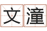 凌文潼前世姓名-算命卜卦