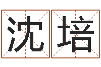 沈培免费公司取名字-大连湘菜馆