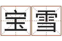 王宝雪四柱预测学-常用英文名字