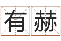 王有赫网络公司起名-童子命生肖命运