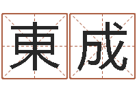 黄東成免费生辰八字算命运-童子命年生肖命运