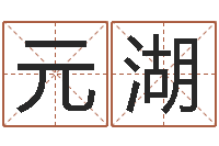 刘元湖元亨紫微斗数排盘-梦幻西游时辰五行