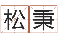 刘松秉瓷都免费起名-起名字个性名字