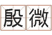 殷微婚姻属相匹配-金木水火土五行查询表