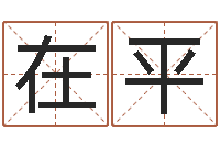 叶在平名字调命运集店起名-详批八字软件