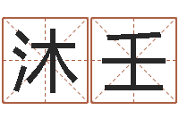 沈沐壬兔年生日祝福语-免费公司起名