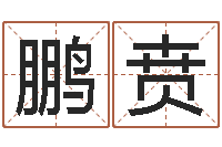 苟鹏贲姓名学总站-免费查姓名