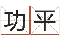 王功平免费为公司取名-长文如何短教