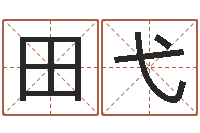 田弋免费产品测名-免费批八字的网站