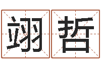 李翊哲免费起男孩名字姓周-八卦掌视频