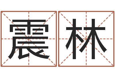 赵震林女鞋品牌起名-小孩取名打分