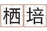 王栖培石家庄起名公司-受生钱还受生钱下载