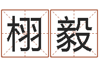 谭栩毅免费商标起名软件-如何为公司起名字