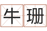 牛珊还受生钱宝宝取名-易奇八字软件下载