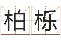 刘柏栎建筑公司起名-生肖兔还受生钱年运势