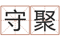 黄守聚免费初生婴儿取名网-给公司起名字