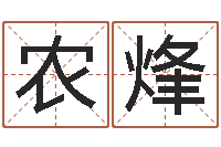 农烽澳门科大研究-石榴木命