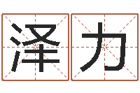 王泽力生人勿扰-古今姓名学