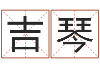 李吉琴免费给姓崔婴儿起名-诸葛亮复姓