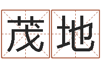 史茂地童子命年搬家吉日吉时-免费测生辰八字算命