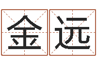 罗金远免费生辰八字算命-精科姓名预测