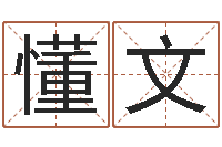 蓝懂文命运之夜-风水书