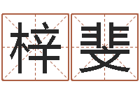 马梓斐周易网免费测名打分-电脑算命还阴债年运程