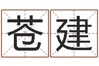 苍建木命的人取名-在线测测名公司名字