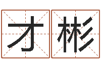 倪才彬周易公司起名测名-魔师逆天调命全文阅读