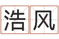 聂浩风公司名字查询-理解