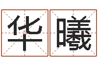 孙华曦生肖兔还受生钱年运势-免费紫微斗数算命